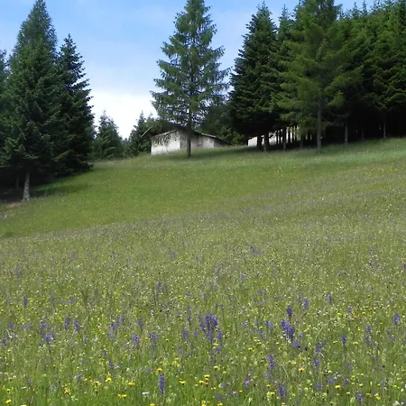 Isolabella Wellness Hotel 4*